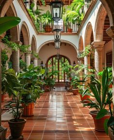 an arched hallway with potted plants and hanging lights on the ceiling is seen in this image