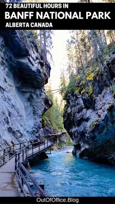 a river flowing through a lush green forest next to a tall rock face covered in moss