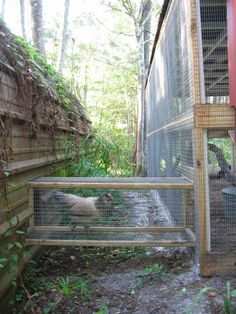 an animal in a cage next to a building with trees and grass on the ground