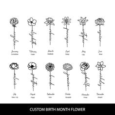 the different types of flowers that can be used to draw