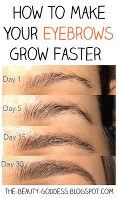 How to Fix Over-Tweezed Eyebrows - The Beauty Goddess Tweezed Eyebrows, Make Eyebrows Grow, Fix Eyebrows, Regrow Eyebrows, Thicker Eyebrows, Light Eye Makeup, Draw Eyebrows, Beauty Goddess, Eyebrow Beauty