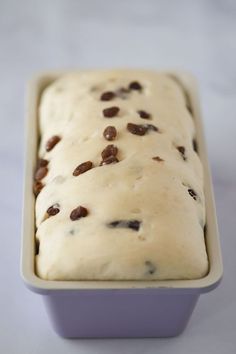 a loaf of ice cream with raisins in it