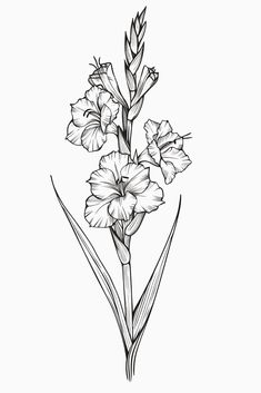 a black and white drawing of flowers on a white background