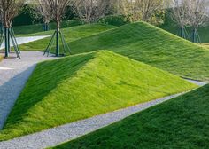 several green mounds with trees and bushes in the backgroung, near a paved path