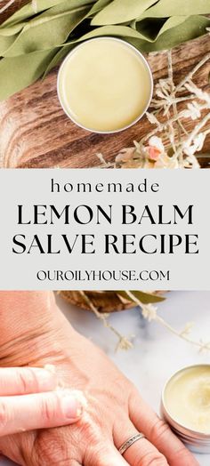 Bug Bite Salve, Bug Bite Remedy, Lemon Balm Salve, Lemon Balm Benefits, Lemon Balm Recipes, Lemon Balm Oil, Lemon Balm Essential Oil, Herb Medicine, Homemade Salve