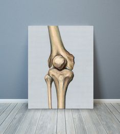 Knee joint Leg Patella Osteology Bone Anatomy Art Print Knee Bone Drawing, Patella Anatomy, Knee Anatomy Drawing, Human Anatomy Art Artworks, Fibula Bone, Knee Drawing, Bones Painting, Human Skull Drawing