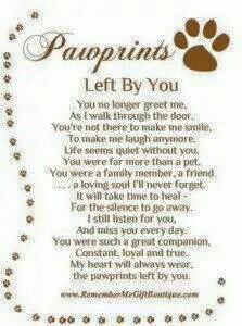 a poem written in the shape of a dog's paw