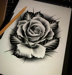 a black and white drawing of a rose on a sheet of paper with a pencil