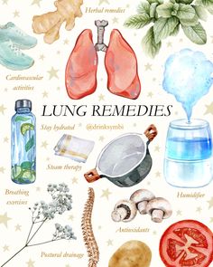 Lung health is so important and something many of us struggle with moving into cold and flu season.   That’s why we created Lung Support+, a tincture made with powerful expectorants to help break down and remove unhealthy mucus from the lungs. This tincture is amazing for:  Allergies Cleansing for smoker's lungs Those who are sensitive to environmental elements such as dust and mold Crystals For Lung Health, Lung Cleanse Smokers Recipe, Lung Health Remedies, Upper Respiratory Infection Remedies, Respiratory Infection Remedies, Lung Support, Healthy Liver Diet, Lung Cleanse, Lung Health