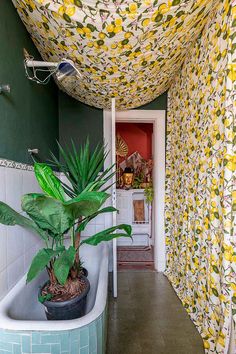 a bathtub with a plant in it next to a doorway