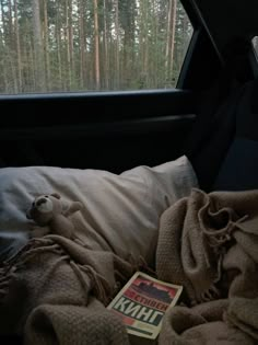 a teddy bear sitting on top of a bed next to a window in a car