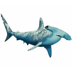 an image of a shark that is in the air