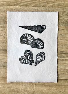 three seashells are drawn on white paper with black ink, sitting on a wooden surface