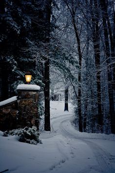 a snowy path leads to a light in the woods