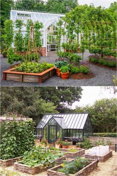 two pictures showing different types of plants in the garden and on the other side, there are