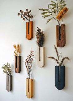 several vases with plants in them hanging on the wall next to each other,