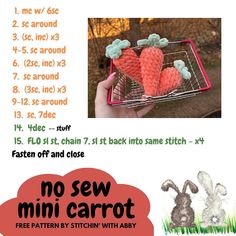 the instructions for how to sew mini carrots are shown in this poster,