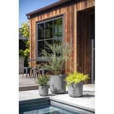 three potted plants sitting next to a pool in front of a wooden building with windows