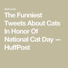 the funniest tweets about cats in honor of national cat day