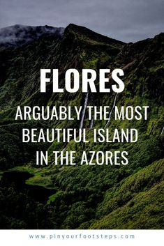 the words floress are written in white on top of a green mountain with trees