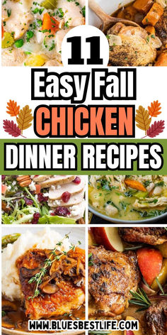 A collection of fall chicken recipes for dinner. Fall Chicken Dinner Recipes, Fall Chicken Breast Recipes, Weekday Dinner Ideas, Fall Chicken Recipes, Easy Fall Dinner, Gaps Diet Recipes, Easy Fall Dinners, Poultry Dishes, Weekday Dinner