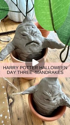 two clay pots that have been made to look like the characters in harry potter's movie