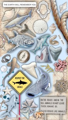 a poster with sea animals and other things on it's back side, including a sign