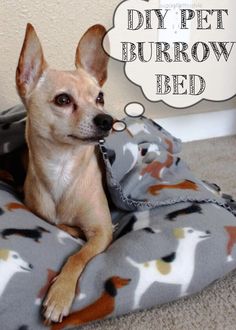 a small dog laying on top of a bed with a thought bubble above it that says diy pet burrow bed