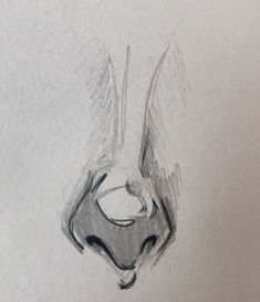 a pencil drawing of a bird's head