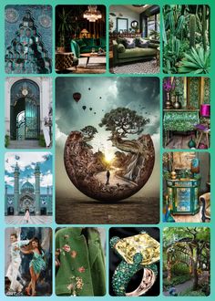 the collage shows many different things in this photo, including an image of a tree and