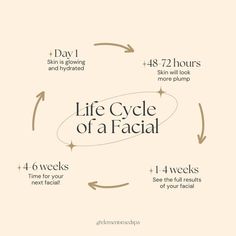 Life Cycle of a Facial Esthetician Room Supplies, Facials Quotes, Davenport Florida, Facial Room, Esthetician School, Facial Routine Skincare, Beauty Skin Quotes