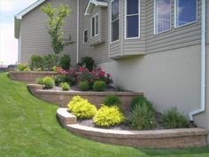 landscaping in front of a house with green grass