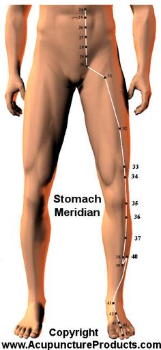 Stomach Meridian, Tcm Traditional Chinese Medicine, Meridian Massage, Yin Yoga Poses, Reflexology Massage, Acupressure Points, Naturopathy