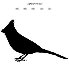 a black bird sitting on top of a white background with the words digital download above it