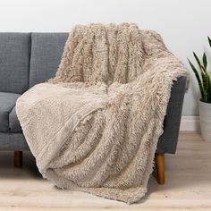 a couch with a blanket on it next to a potted plant