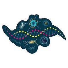 an animal cell is depicted in this graphic style, with many different things on it