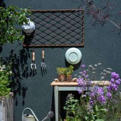 an outdoor garden with various plants and gardening utensils hanging on the gray wall