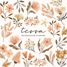 watercolor flowers with the words terra on it