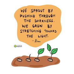 Seed Quotes Life, Seed Sayings Quotes, Planted Seed Quotes, Growth Quotes Plants, Seeds Quotes Inspiration, Planting A Seed Quote, Planting Quotes Life Inspiration, Plant Growing Quotes Life, Growing Plants Quotes