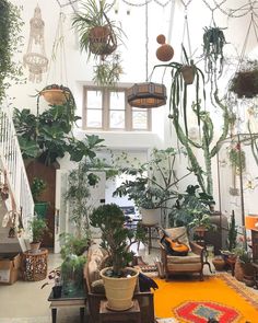 a room filled with lots of potted plants