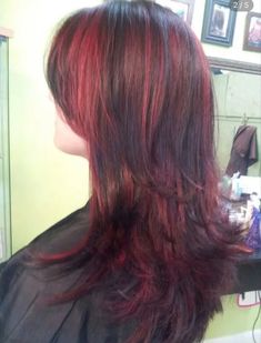 Red Hair With Lighter Red Highlights, Thick Red Highlights On Black Hair, Red Highlights With Layers, Dark Red And Light Red Hair, Dark And Light Red Hair, Thick Red Highlights, Curtain Bangs With Red Highlights, Red Highlights In Brown Hair Wolfcut