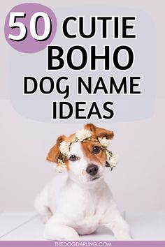 a dog with flowers on its head and the words 50 cute boho dog name ideas