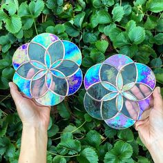 two hands holding stained glass plates in front of green plants