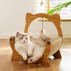 a cat laying on top of a wooden hammock in the middle of a room