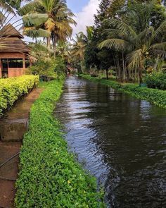 a river running through a lush green forest filled with trees and bushes next to a small hut