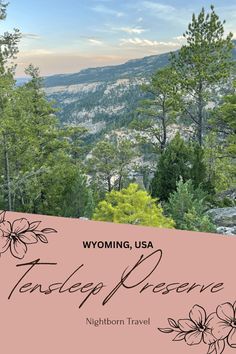 the cover for wyoming, usa's travel planner with flowers and mountains in the background