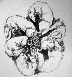 a drawing of some kind of flower in black and white