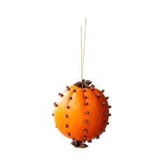 an orange ornament hanging from a string on a white background with brown dots