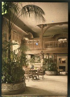 a large living room filled with lots of furniture and plants on top of it's walls