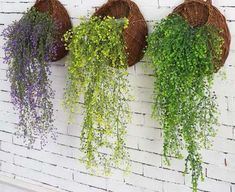 three hanging baskets filled with plants on a brick wall